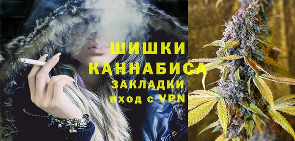 шишки Ельня