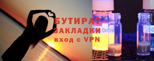 шишки Ельня