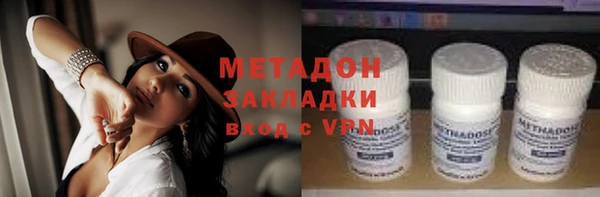 шишки Ельня
