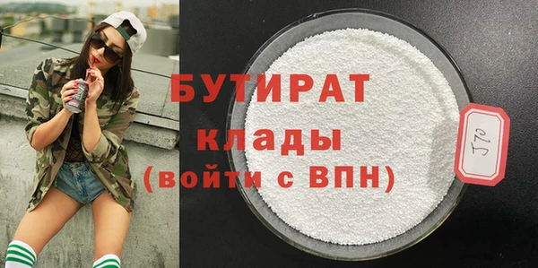 шишки Ельня