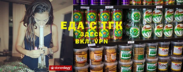 шишки Ельня