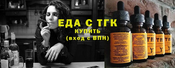 шишки Ельня