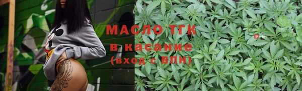 шишки Ельня