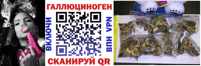 Псилоцибиновые грибы MAGIC MUSHROOMS  Купить  Котельнич 