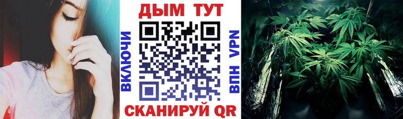 Купить закладки  Котельнич  Каннабис LSD WEED 